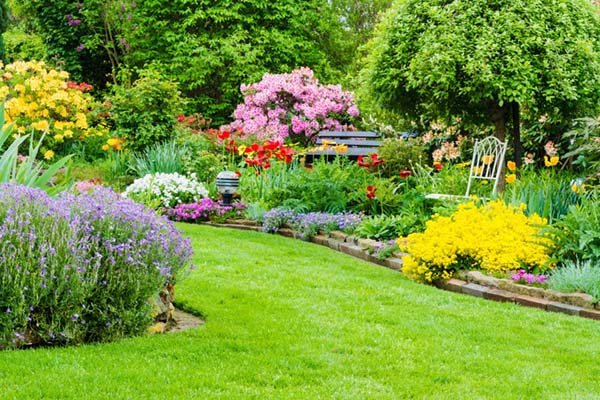 Ogród i rododendrony
